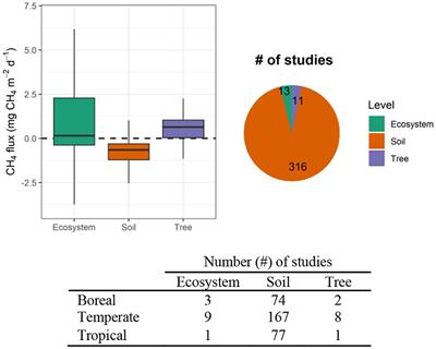 Editorial: Greenhouse gas fluxes in forest ecosystems